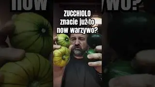 Zucchiolo - znacie / pr&oacute;bowaliście już to nowe warzywo? Wytw&oacute;r hiszpańskich naukowc&oacute;w podbija rynek