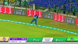 Tim David you Beauty ❤️👑 #shorts #cricket #psl