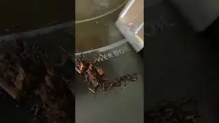 Clean Burn Marks Off a Glass Stovetop