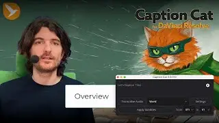 Обзор Caption Cat для DaVinci Resolve