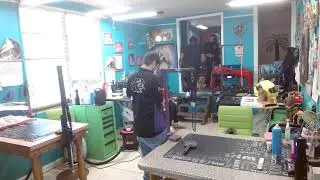 Watch daily as our dog groomers wash, snip, & style your fur babies @Barbara's Small Breed Pet Salon