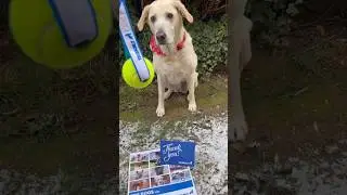 Although Kira didn&rsquo;t make the QXO Top Dog Calendar, she still played with her participation trophy