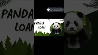 #panda #pandasong #china #japan #japanese #chinatravel #taiwan #loan #trending #facts #viral #reels