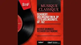 Violin Sonata in A Major, Op. 162, D. 574: I. Allegro moderato