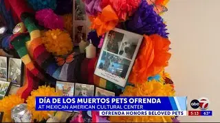 El Paso Animal Services is honoring pets who have passed away