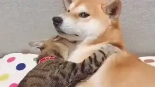 Ella tranquila y el paz yo nervios y sonrojado