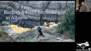 Bird Study Group: Birding & Field Recording in Alberta