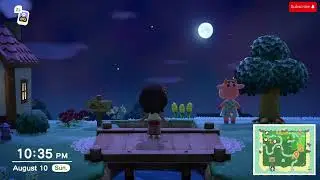 Animal Crossing Fire Works!!!