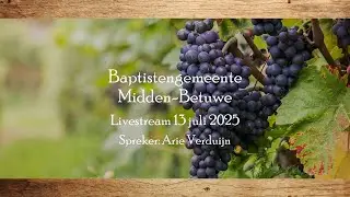 Zondag 13 juli - Preek