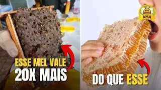O mel MAIS CARO E VALIOSO do Mundo! (Encontrado no Brasil)