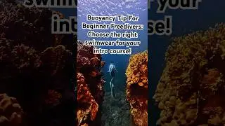 Freediving Swimwear Tips 🐟 What Beginners Should Wear for Comfort & Safety!
