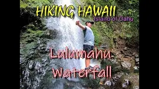 Lulumahu Waterfall Hike - HIKING HAWAII