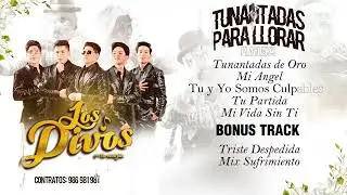 TUNANTADAS PARA LLORAR - LOS DIVOS (Albúm de Tunantada 2026)