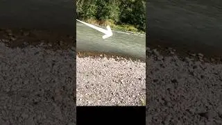 Almost lose it!! 