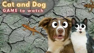 How to Catch a Lizard 🦎🖥 Game Video For Cat And Dog 82G