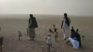 Fog Itni Zyada Ke Kuch Nazar Nahi Aaya | Falcon Training Vlog