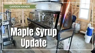 Maple Syrup Season | Midseason Boiling Update & Walkthrough
