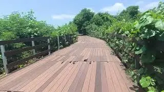 Обзор острова Сантай в городе Гуаякиль, Эквадор (Isla Santay, Guayaquil, Ecuador). 