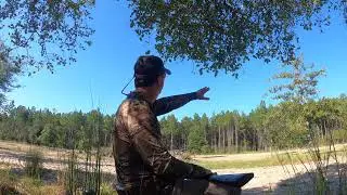 Dove Hunt South Alabama | 2nd Weekend 2024