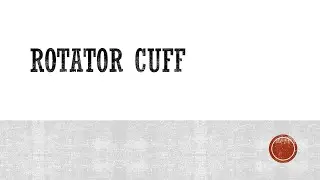 Rotator Cuff Functional Anatomy