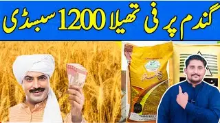 How to get Subsidy on Wheat in Pakistan |  Wheat Subsidy Scheme || Apna Kisan Pakistan