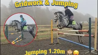 Jumping 1.20m Gridwork and Jumping