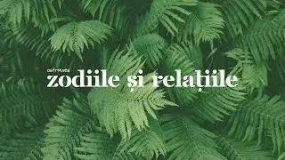 ❤︎ AstroInes: ZODIILE ȘI RELAȚIILE