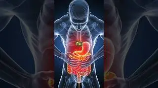 Boost Your Digestive system in Just 30 Days with These 4 Ayurvedic Diet and Tips