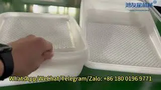 Large Format PP Food Tray Vacuum Forming Machine