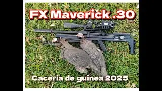 ¡PRECISIÓN PURA! 🎯 Primera Cacería de Guineas 2025 con FX Maverick calibre  30 #CaceriaDeGuineas2025