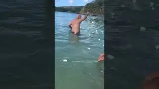 My trip to #brazil #brazilian #brazilbeach #brazilianbeach #walkingthebeach #brasil🇧🇷 #fishing #fish
