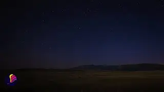 Calming Country Night | Cricket Sounds | Summer Night Ambience for Deep Sleep | Focus | 10 Hours