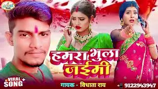 Hamra bhula jaimi हमरा भुला जैमी #vidhata Ray ka sad song 