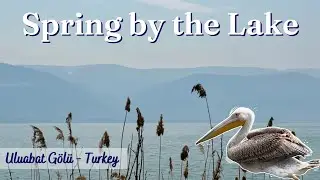 Spring in Turkey by Uluabat G&ouml;l&uuml; | G&ouml;lyazı Village | Giant Pelicans & Nature Walk around Lake