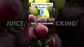 Amazing Facts About Grapes You Need to Know!