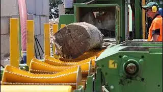 Pezzolato TM/TB 600 Firewood Processing  #firewoodprocessing #firewood #firewoodprocessor