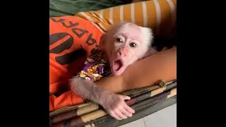 Siblings' Blissful Morning! Jack's Emotional Happiness Drinking Milk in Hammock