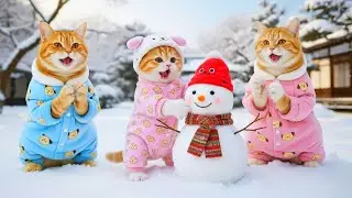 Baby Ginger Kitten and Mama Cat&rsquo;s Snowy Day | Papa Cat Joins the Fun 🐾