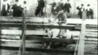 1894 Rodeo Bucking Bronco