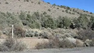 Homes for Sale - 1395 Topaz Ranch, Wellington, NV