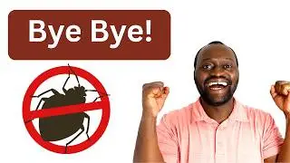 Say Goodbye to Bed Bugs in Your Home!