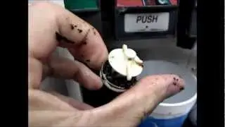 NASTY Soda Fountain BACTERIA !