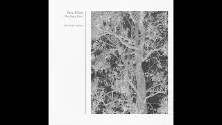Orca Silent - Decay [OSL039]