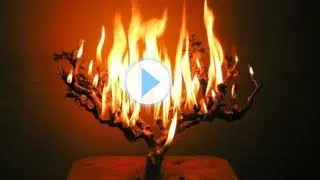 Why Was Moses Afraid to Gaze at G-d? - Parsha Shemos - By Rabbi YY Jacobson