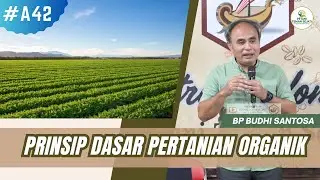 Prinsip Dasar Pertanian Organik