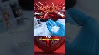 💎  𝖅. 𝕆. Ӂ. 💎