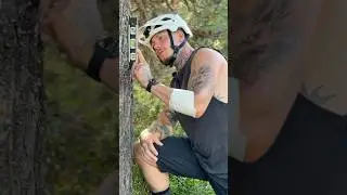 STATE ATTENTI QUANDO GIRATE DA SOLI PER LE FORESTE! *mountain bike*