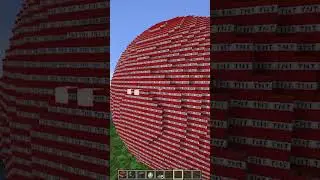 Minecraft - Can Polar Bear Survive ? #minecraft