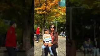 Autumn in Seoul Forest Park🍁🍁#autumninkorea #seoulforest #seoultravelguide #seoulinautumn #travel