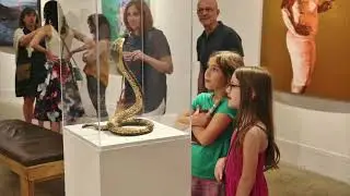 The Woodmere Annual: 81st Juried Exhibition Open House